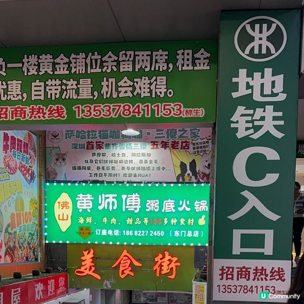 在深圳50元就能實現海鮮自由⁉️佛山黃師傅粥底火鍋