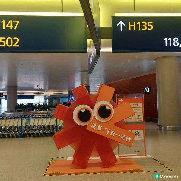 威海飛上海✈️，上海轉機香港🇭