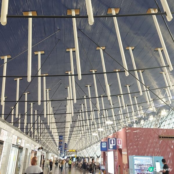 威海飛上海✈️，上海轉機香港🇭