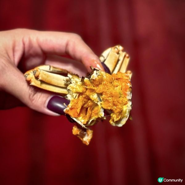 蟹之盛宴@Cafe Too