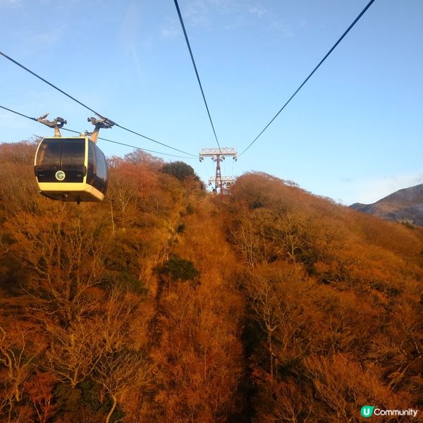箱根必玩！海賊船火山纜車雙重震撼🤩