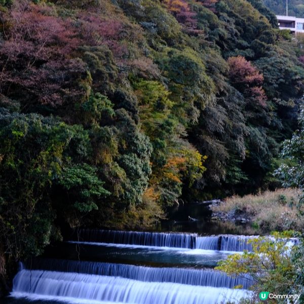 箱根私風呂溫泉旅館推介♨️  
