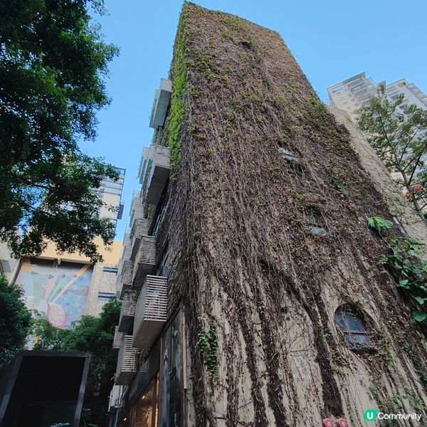 文青必到 OCT LOFT