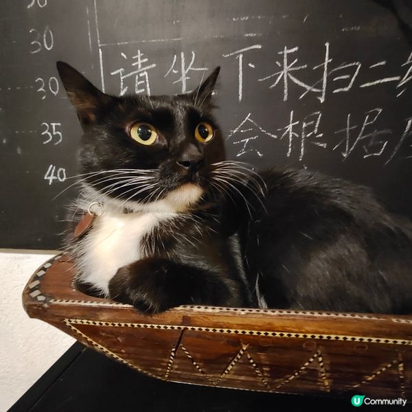 📚舊天堂書店📚