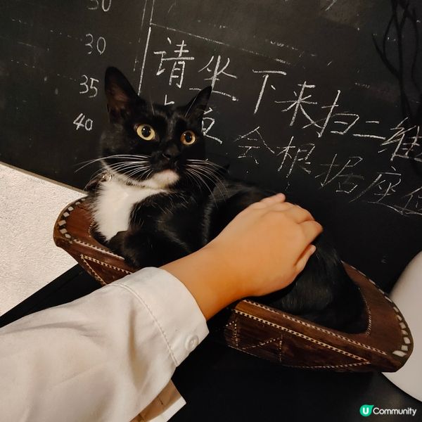 📚舊天堂書店📚