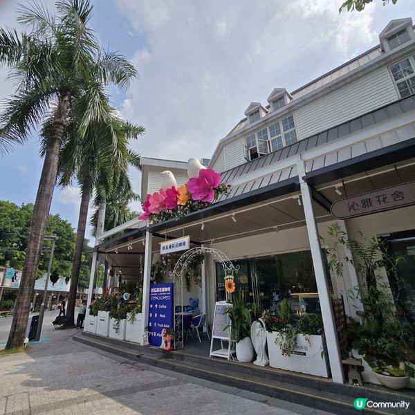 深圳荷蘭花卉小鎮