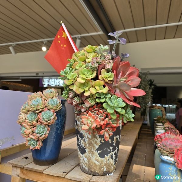 深圳荷蘭花卉小鎮