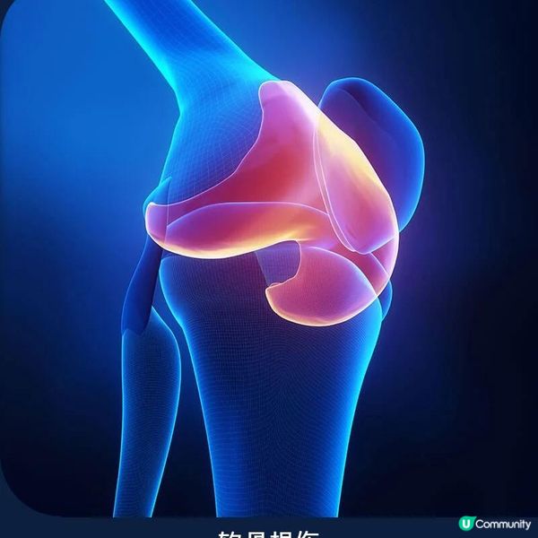 生長板的迷思！成年後仍可長高嗎？