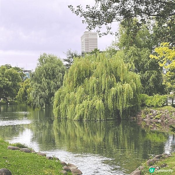 這裡是北海道札幌的中島公園，是日劇First Love的拍攝...