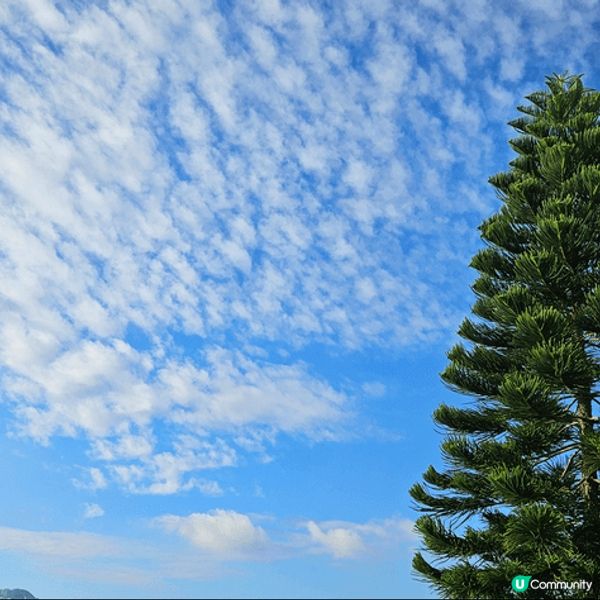 海洋公園難得見到美好的景象。另一張是西營盤高街前精神病院?景...
