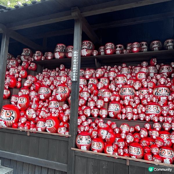 箕面市?勝尾寺有好多達摩，日本人將神像都玩到咁出神入化，好似...