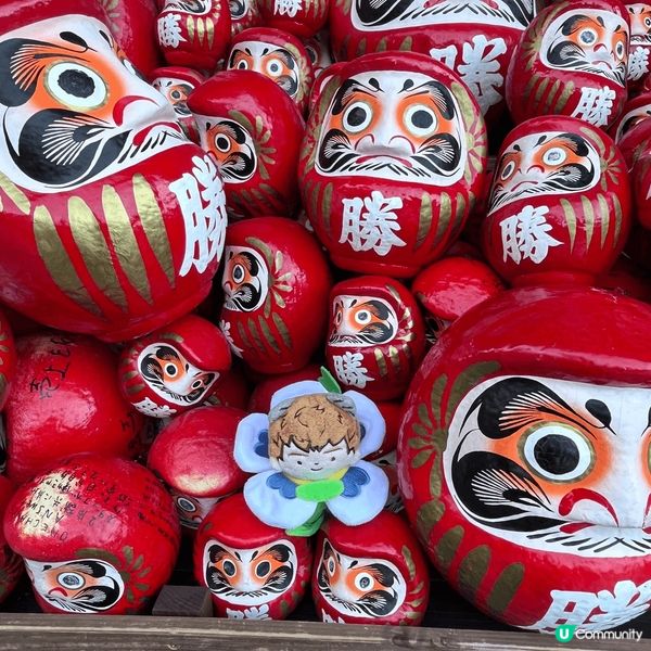 箕面市?勝尾寺有好多達摩，日本人將神像都玩到咁出神入化，好似...