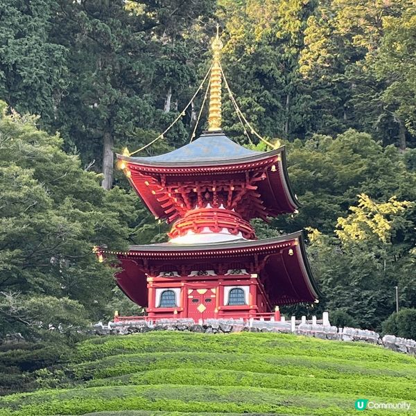 箕面市?勝尾寺有好多達摩，日本人將神像都玩到咁出神入化，好似...