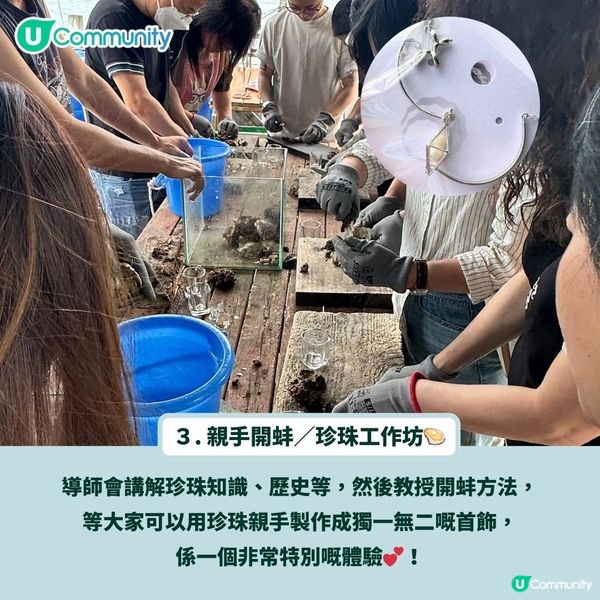 送人氣背包袋款！香港秋天郊遊4大秘景😍