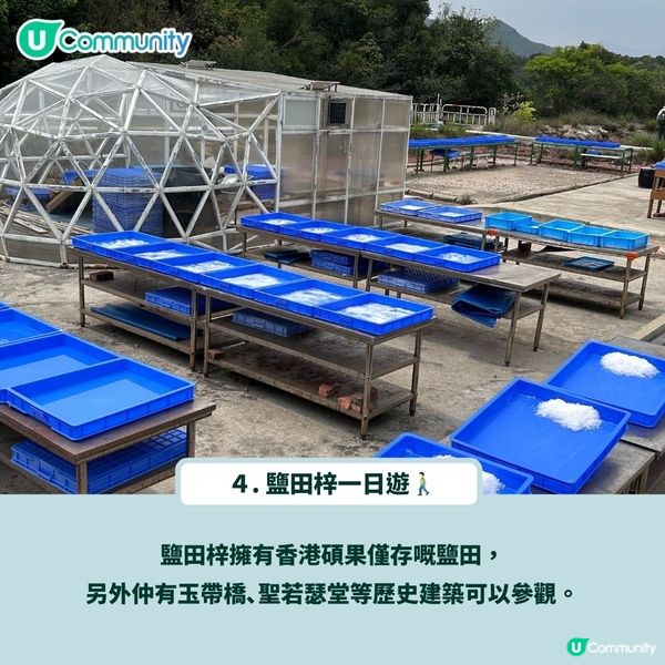 送人氣背包袋款！香港秋天郊遊4大秘景😍