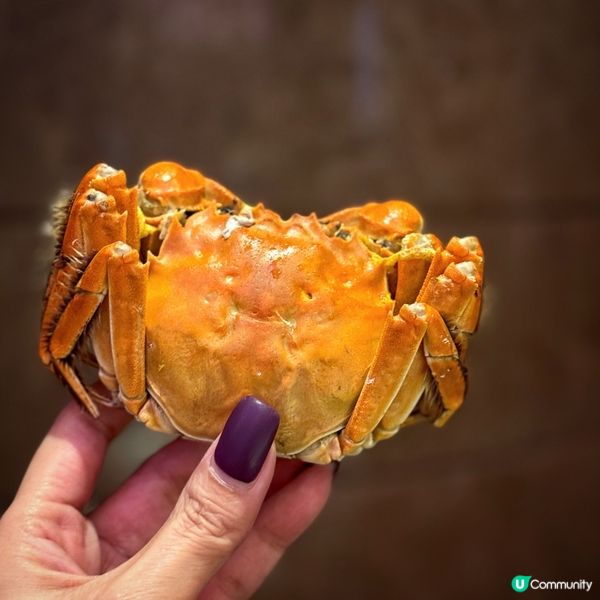 「蟹」逅相逢於金秋@帝京軒