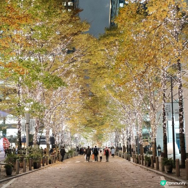 2024東京聖誕節必去1️⃣ 浪漫香檳金!丸の内聖誕燈飾 ✨