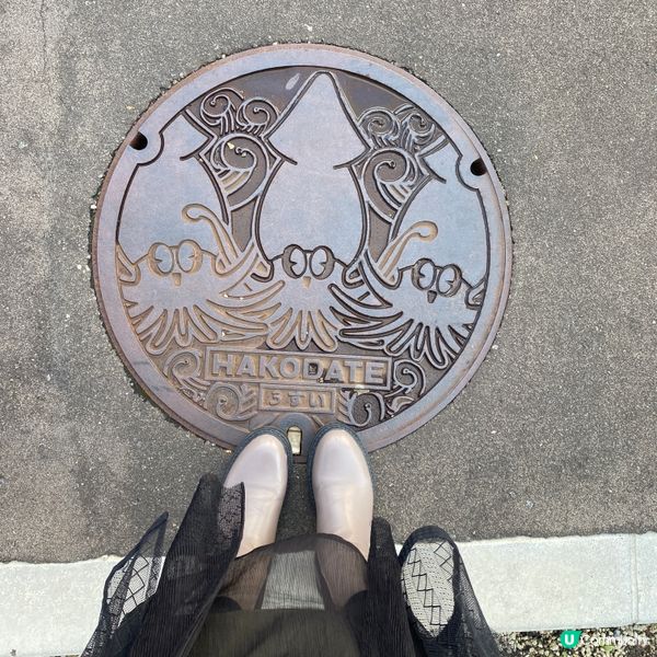 《超新鮮刺身丼飯》🎌北海道函館朝市必吃🎌 きくよ