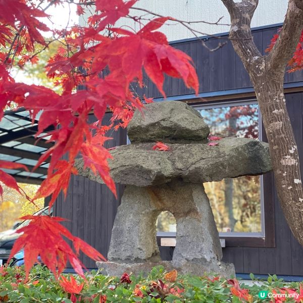《超新鮮刺身丼飯》🎌北海道函館朝市必吃🎌 きくよ