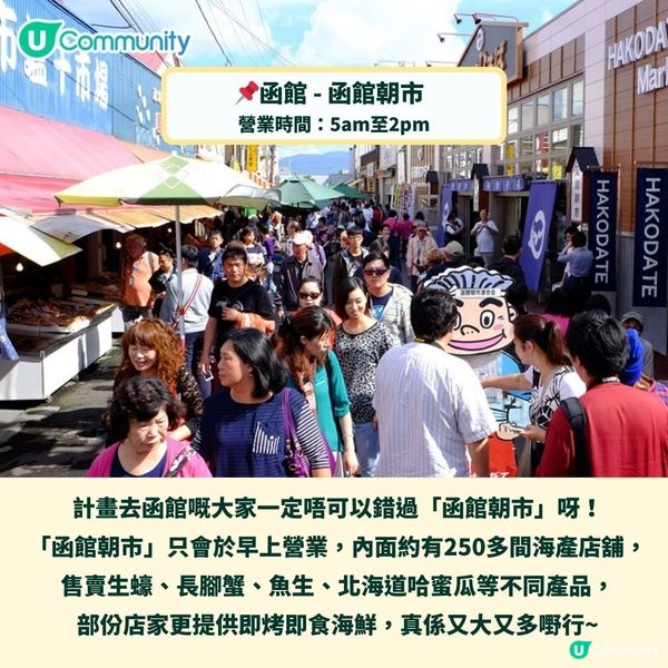 北海道海鮮市場必食推介🤤鮮味海膽／澎湃海鮮丼飯／長腳蟹🦀🍣