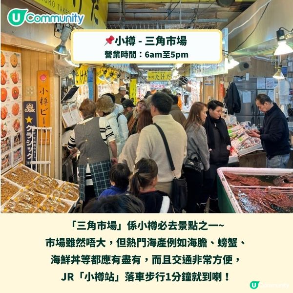 北海道海鮮市場必食推介🤤鮮味海膽／澎湃海鮮丼飯／長腳蟹🦀🍣