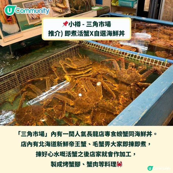 北海道海鮮市場必食推介🤤鮮味海膽／澎湃海鮮丼飯／長腳蟹🦀🍣