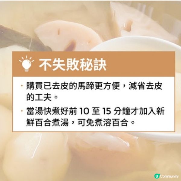 (素湯) 蓮藕馬蹄百合湯