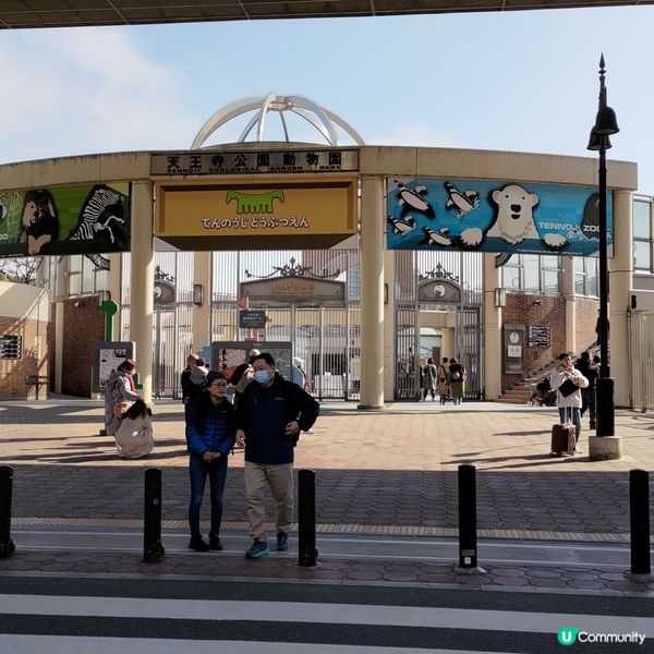 ## 大阪必去🔥天王寺動物園🐧超可愛企鵝打卡一流💜