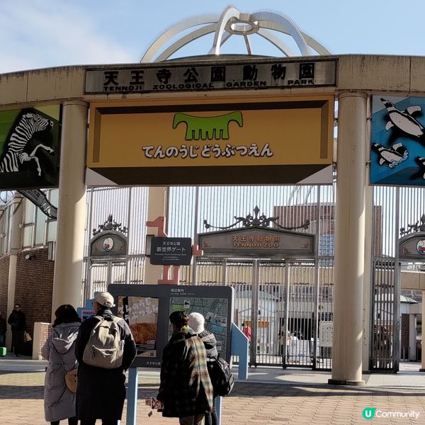 ## 大阪必去🔥天王寺動物園🐧超可愛企鵝打卡一流💜