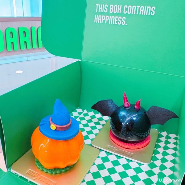 🎃 小肥陽萬聖節蛋糕之旅 🍰