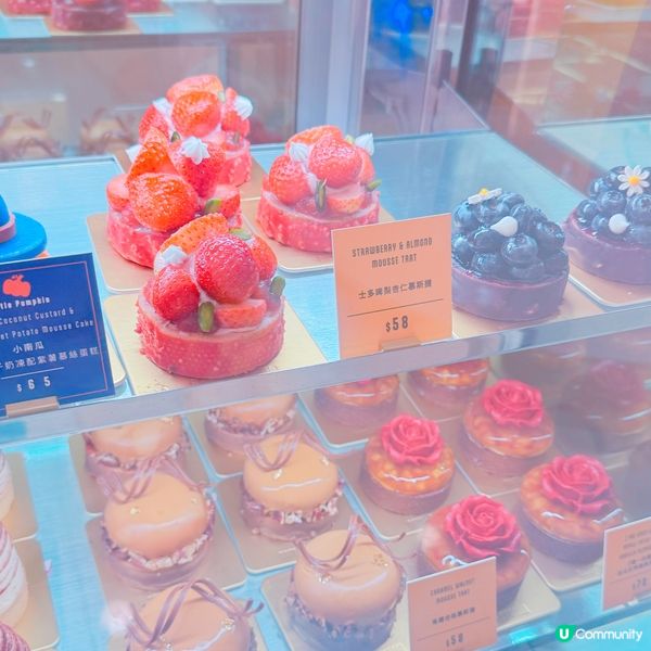 🎃 小肥陽萬聖節蛋糕之旅 🍰