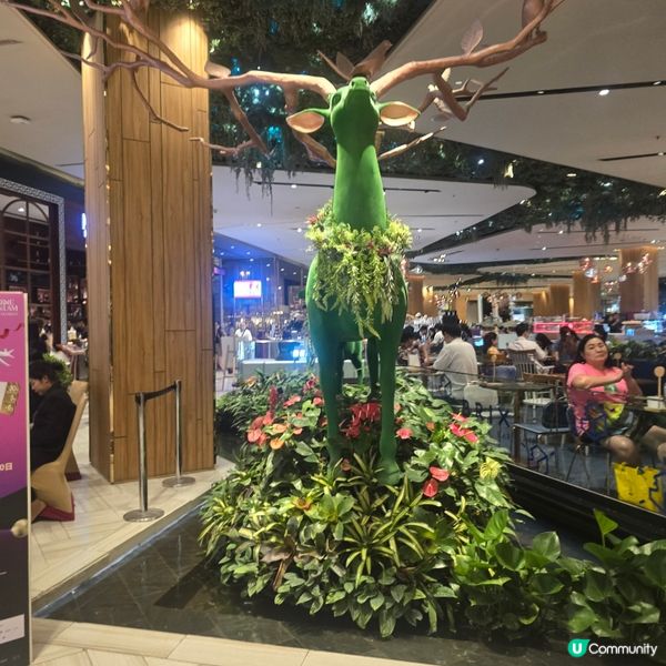 🌴🌳🌲綠化商場🍀☘️🌿🌱