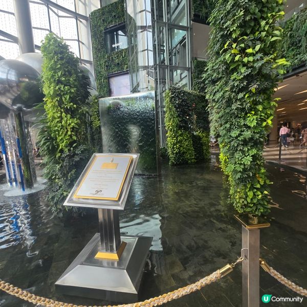 🌴🌳🌲綠化商場🍀☘️🌿🌱