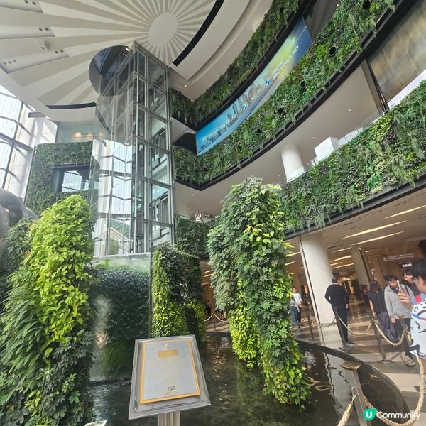 🌴🌳🌲綠化商場🍀☘️🌿🌱