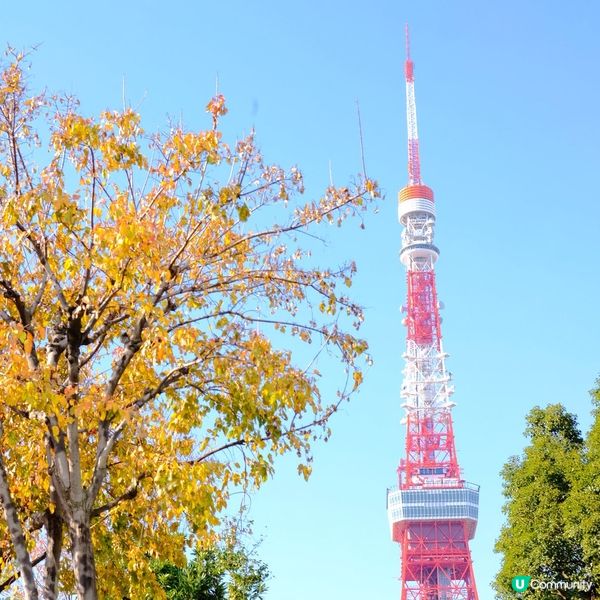 芝公園!遠眺東京鐵塔🗼最佳位置!