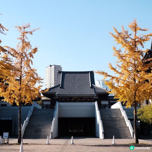 芝公園!遠眺東京鐵塔🗼最佳位置!