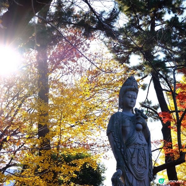 芝公園!遠眺東京鐵塔🗼最佳位置!