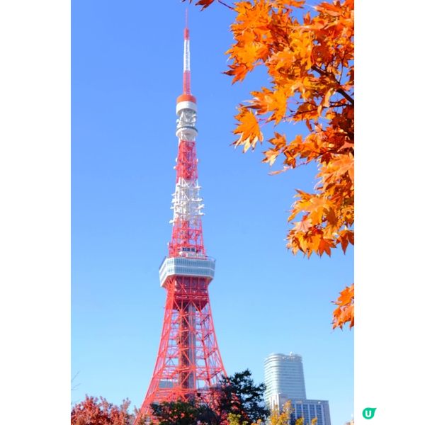 芝公園!遠眺東京鐵塔🗼最佳位置!