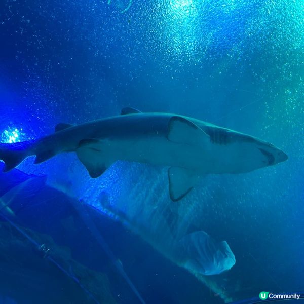 珠海兩天遊 。玩轉兩大樂園😗