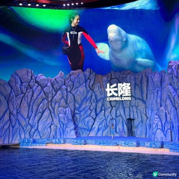 珠海兩天遊 。玩轉兩大樂園😗