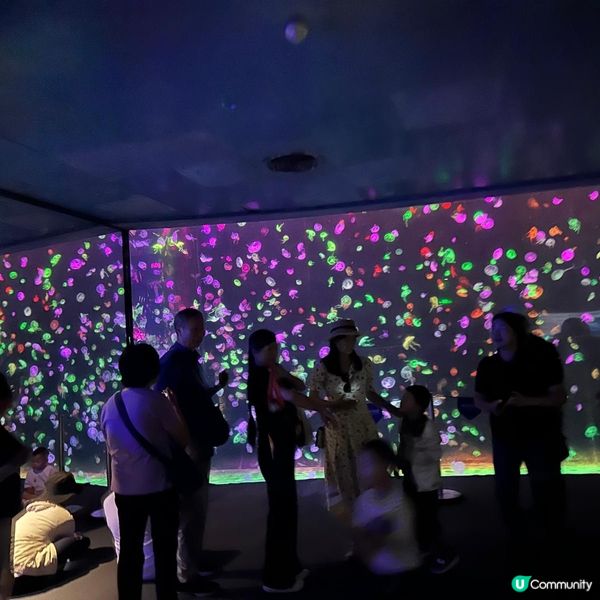 珠海兩天遊 。玩轉兩大樂園😗