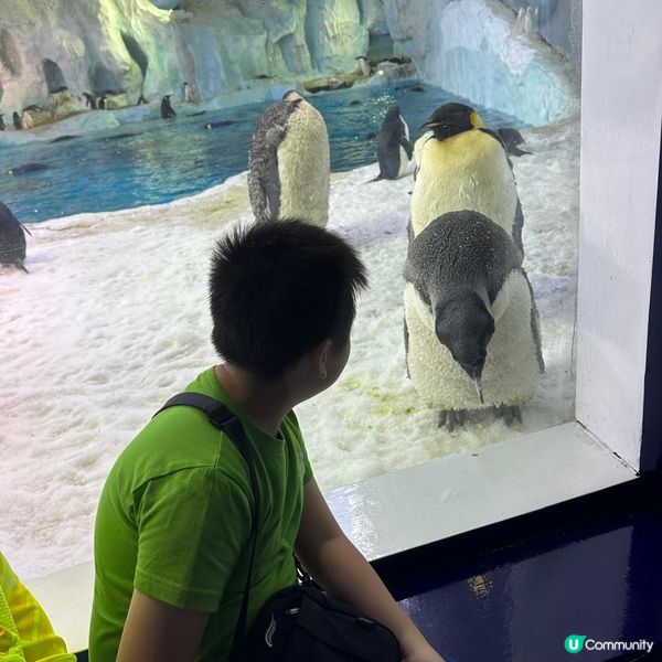 珠海兩天遊 。玩轉兩大樂園😗