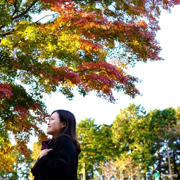 🌋 箱根必到!大涌谷睇火山噴發!🚠震撼體驗!