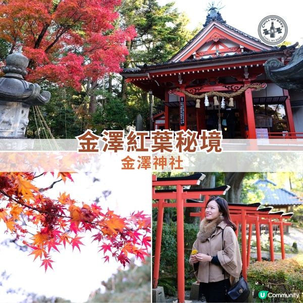 金澤賞楓秘境:兼六園旁的金澤神社⛩️
