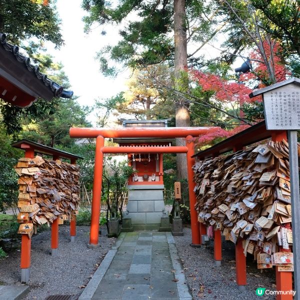 金澤賞楓秘境:兼六園旁的金澤神社⛩️