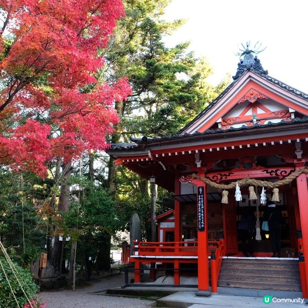 金澤賞楓秘境:兼六園旁的金澤神社⛩️