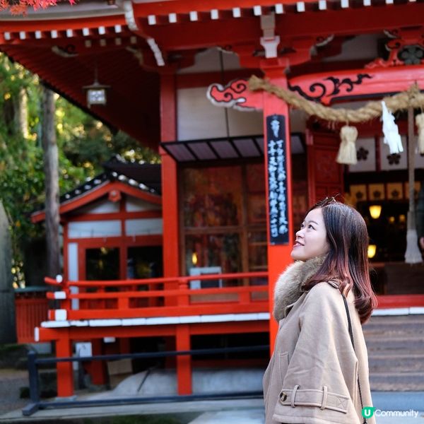 金澤賞楓秘境:兼六園旁的金澤神社⛩️