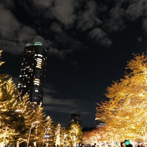 東京聖誕🎄新宿燈飾✨浪漫滿瀉！