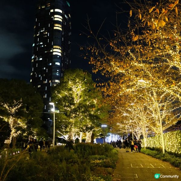 東京聖誕🎄新宿燈飾✨浪漫滿瀉！