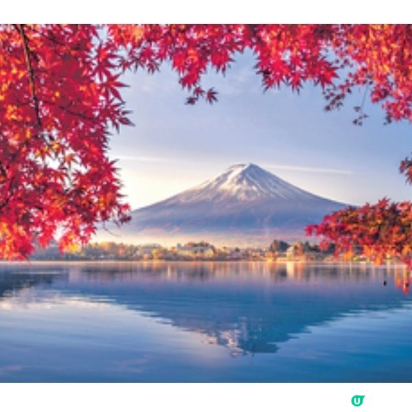 河口湖紅葉祭兼賞富士山必影紅 葉迴廊夜間點燈